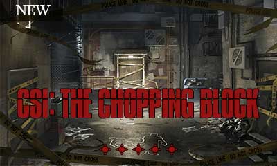 CSI The Chopping Block escape room poster